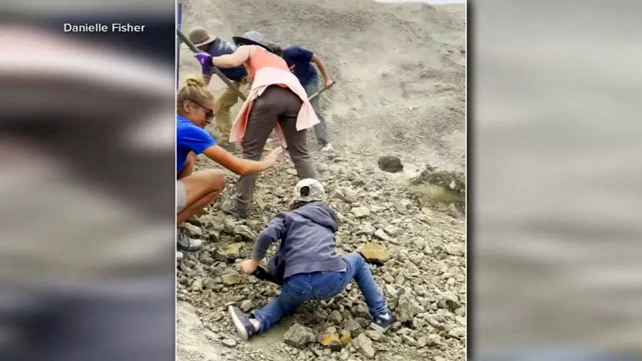 3 young boys and dad uncover rare dinosaur bones while hiking in North Dakota