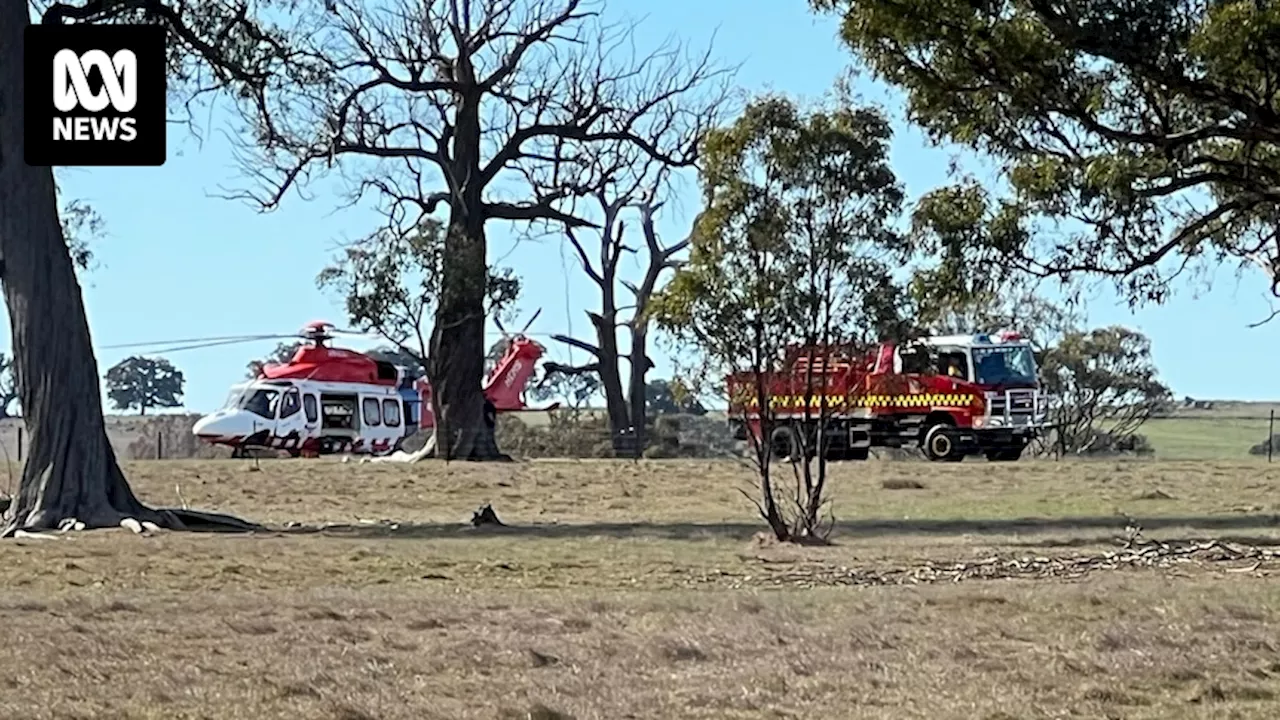 Paraglider crashes into paddock at Elphinstone in central Victoria