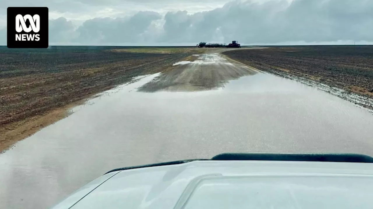 Relief and hope after rain breaks drought for farmers across WA's northern Wheatbelt