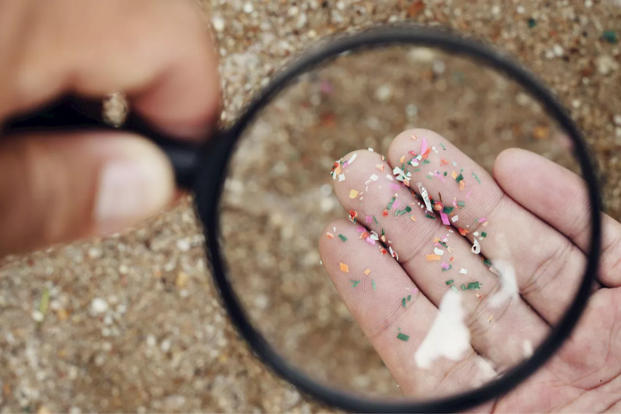 L'invasione delle microplastiche: trovate in 100% campioni sperma e di 8 tipi diversi