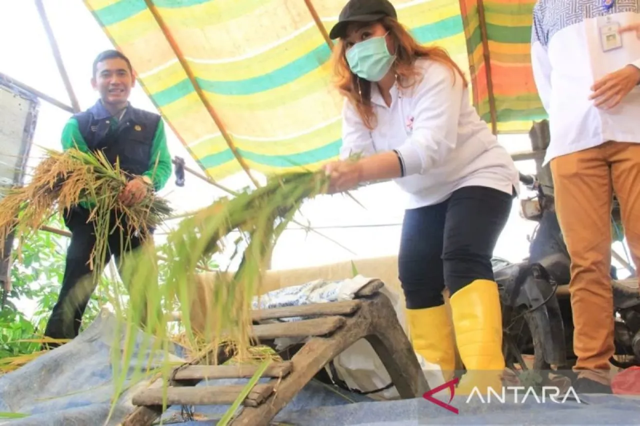 Jelang Idul Adha, Jakbar pantau keamanan pangan di sejumlah pasar