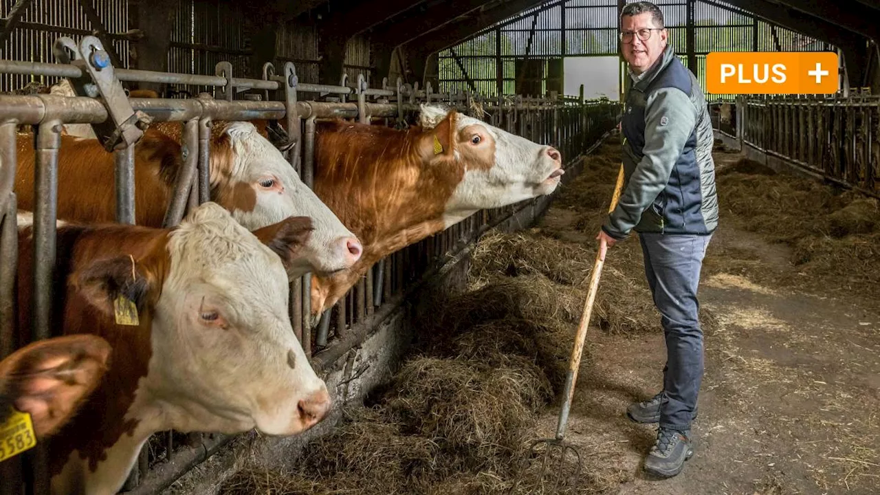 Vom Kuhstall im Spessart ins Europaparlament: Stefan Köhler will auch künftig auf dem Bauernhof mit anpacken