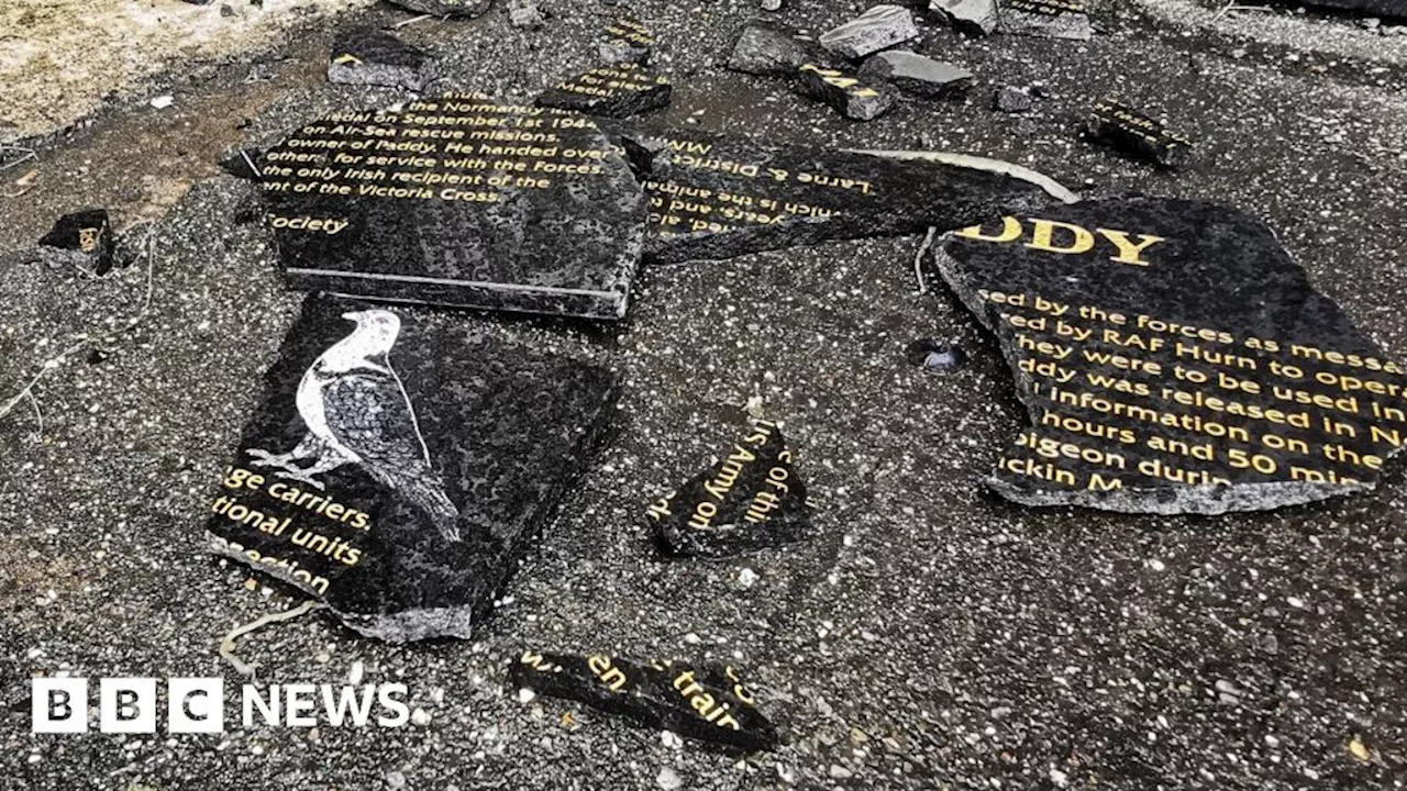 Destruction of Paddy the pigeon plaque 'senseless vandalism'