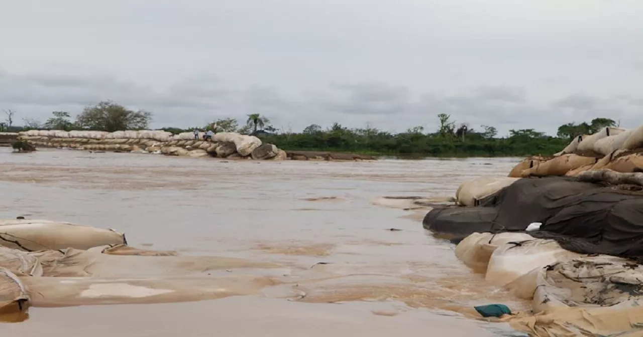 Corporaciones de Antioquia identificaron más de 500 animales afectados por inundaciones en La Mojana