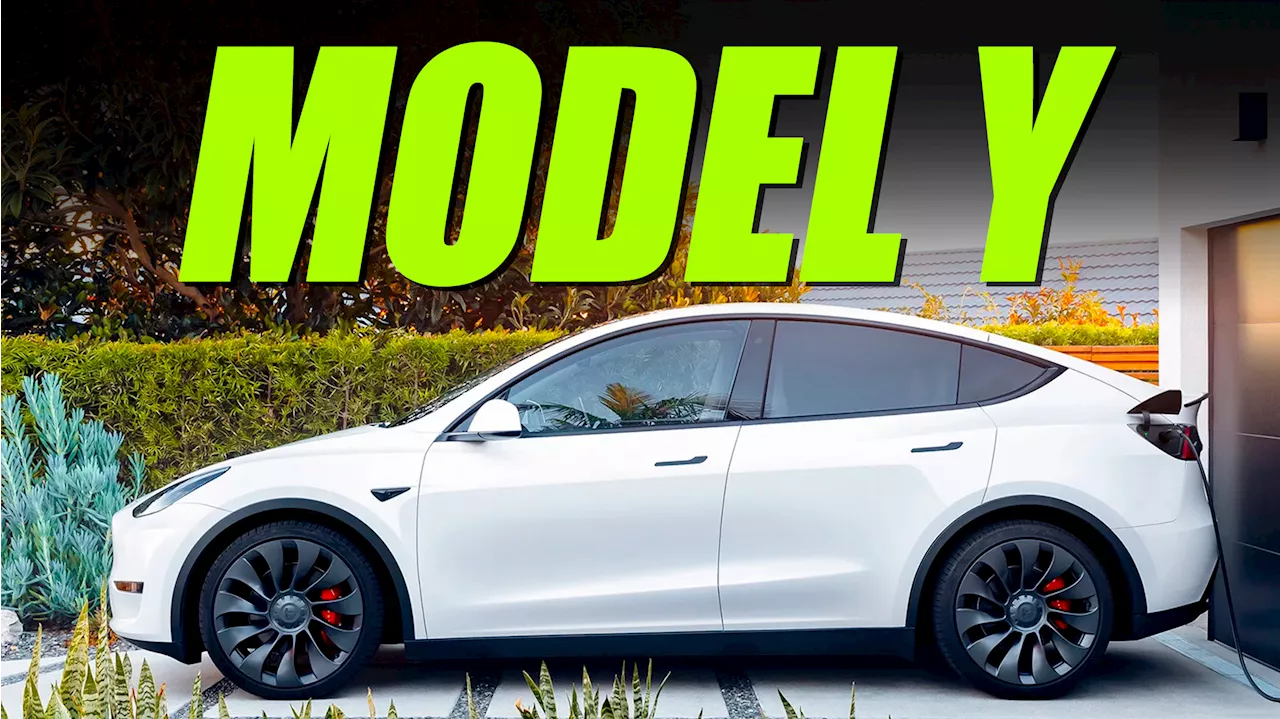 Elon Musk Confirms No Tesla Model Y Refresh Is Coming This Year