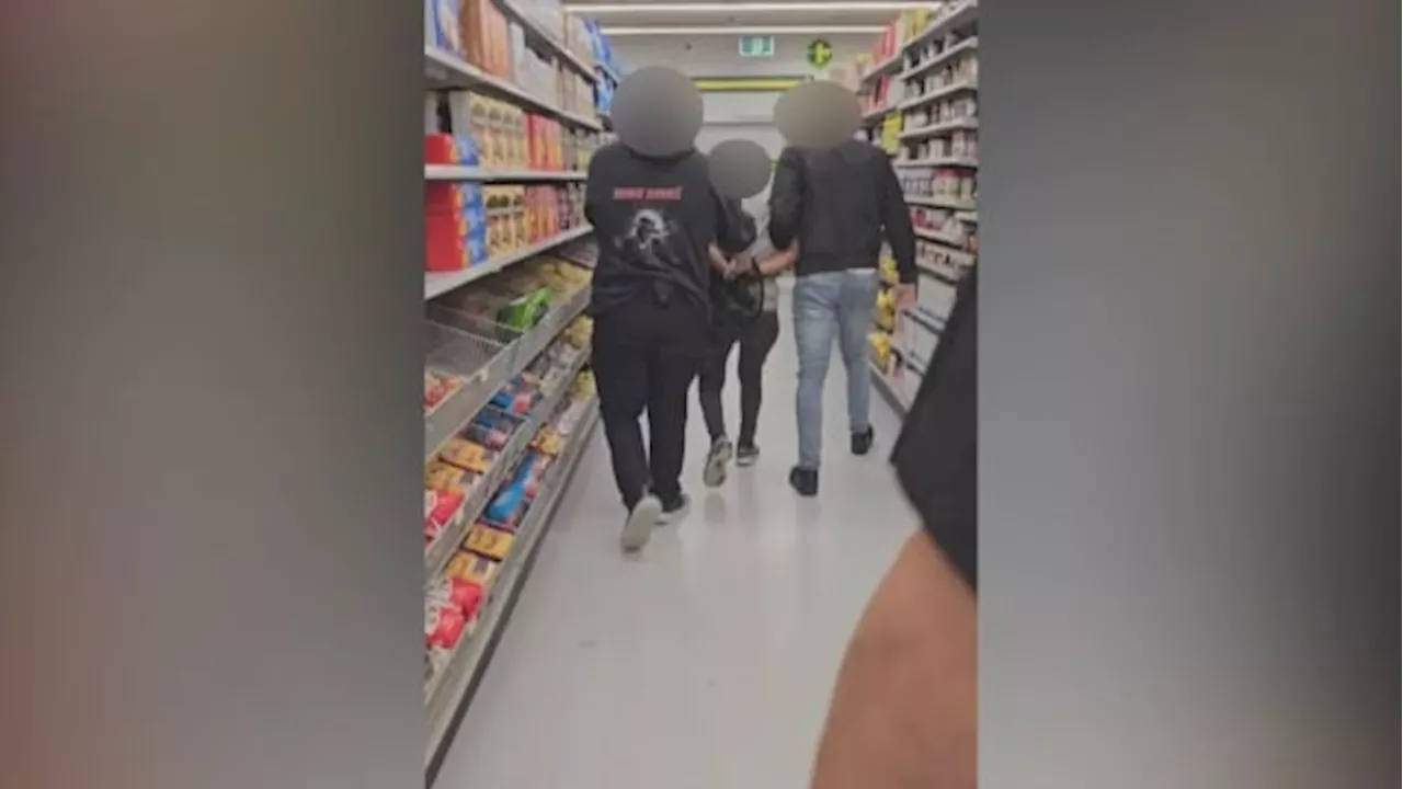 Dollarama investigating after video shows security dragging alleged shoplifter to back of Winnipeg store