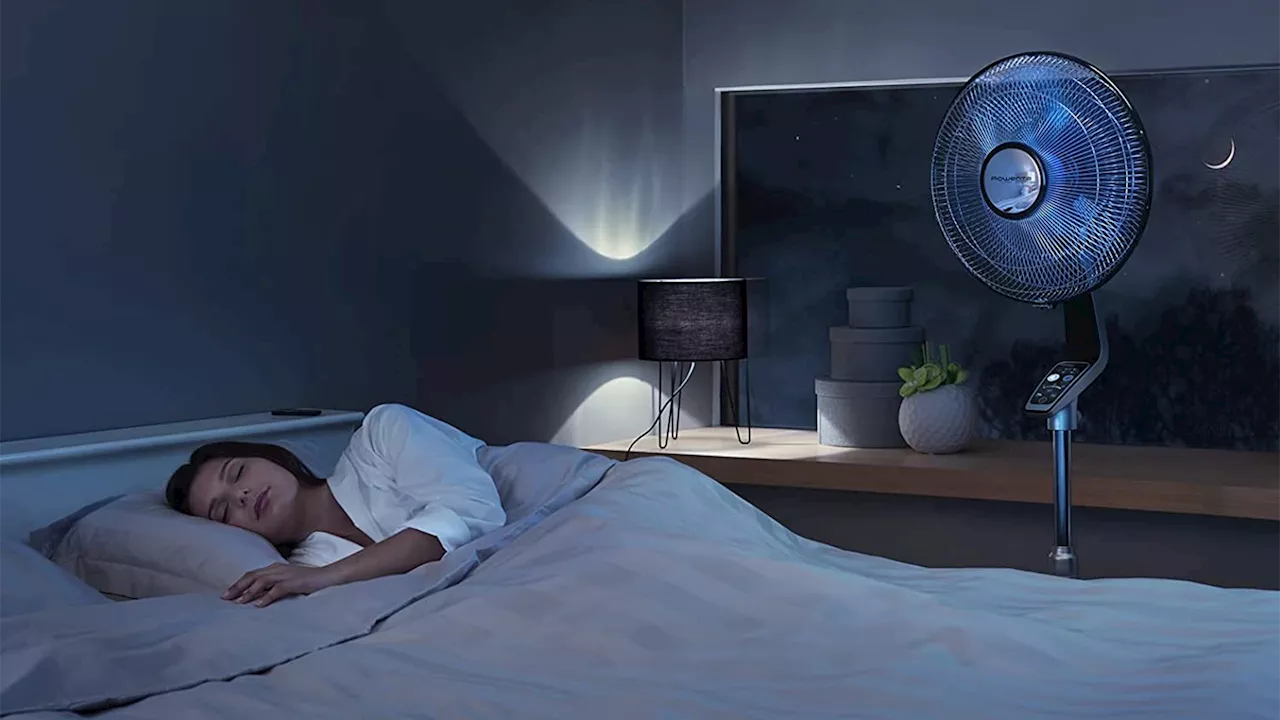 Pour rester au frais pendant l'été, on vous recommande ce ventilateur signé Rowenta (en promo)