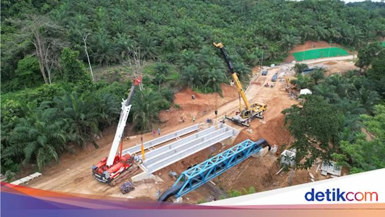 BPK Temukan 2.085 Ha Lahan IKN Masih Dikuasai Pihak Lain