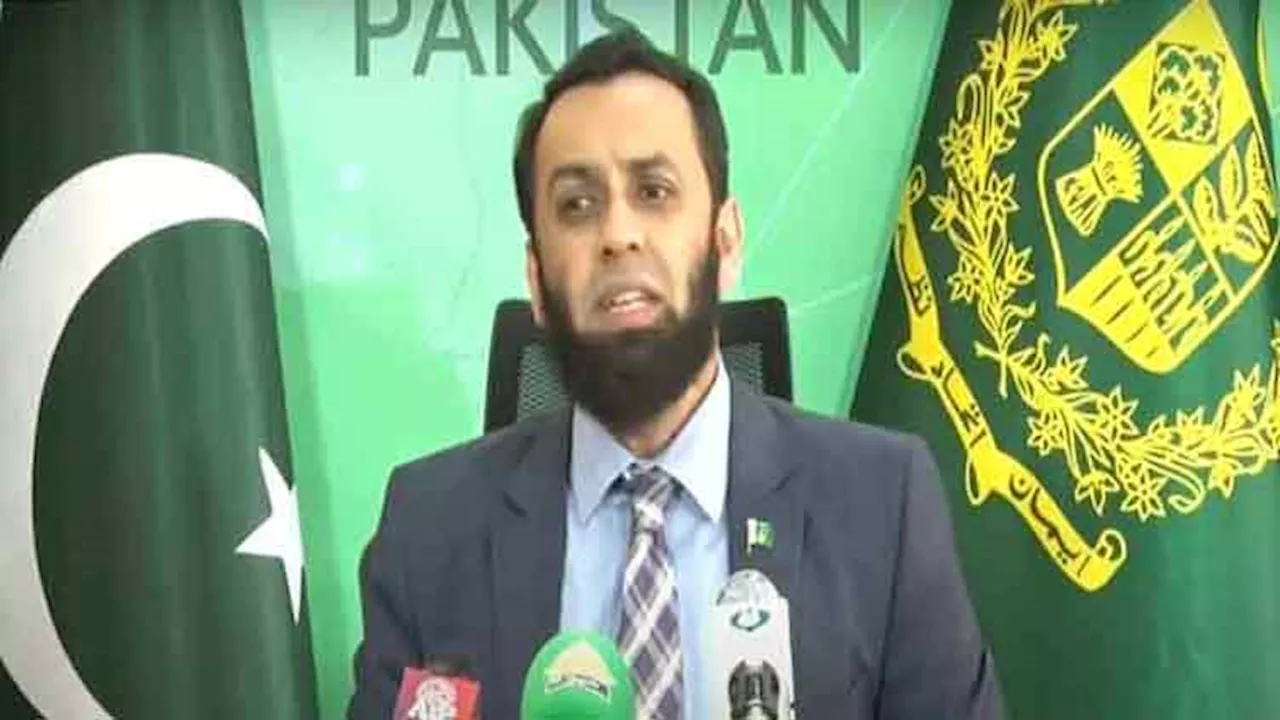 Attempts to disrupt Pakistan-China ties will be foiled: Tarar