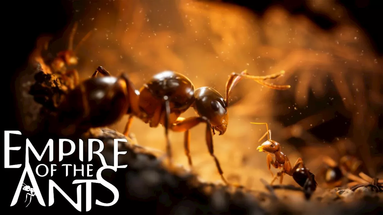 Empire of the Ants will let you explore a photorealistic bug’s life this November