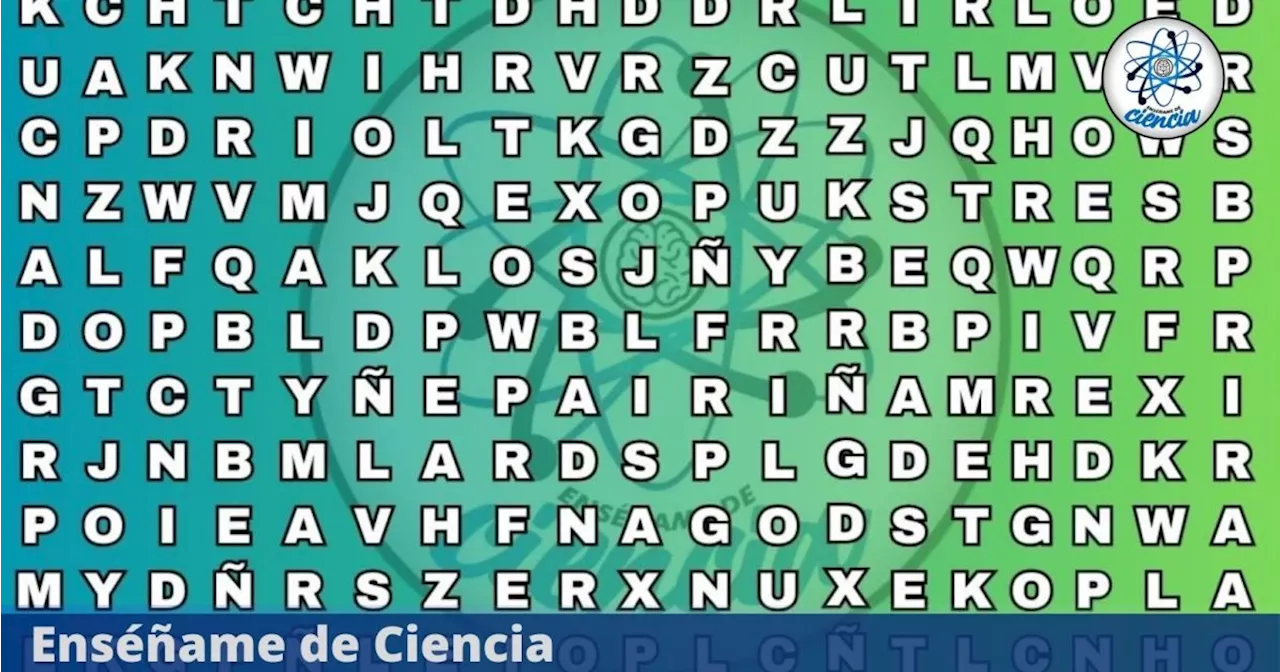 Acertijo visual en TENDENCIA: encuentra la palabra «SELVA» en tiempo récord