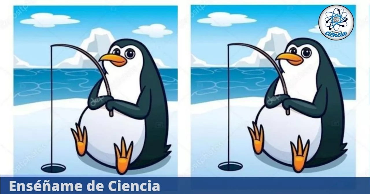 Acertijo visual para EXPERTOS: encuentra las 5 diferencias en la imagen viral del PINGÜINO