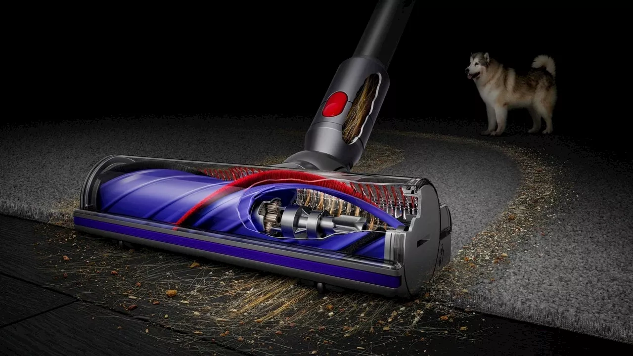 Combat Allergy Season and Save Up to $200 on Dyson's Best Vacuums and Air Purifiers