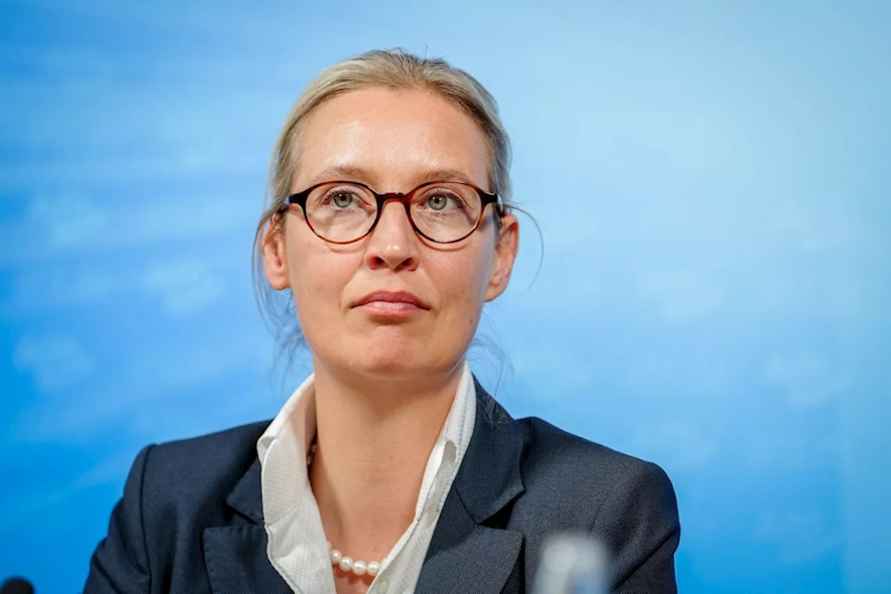 AfD-Chefin Weidel nach Europawahl: Wir wollen regieren