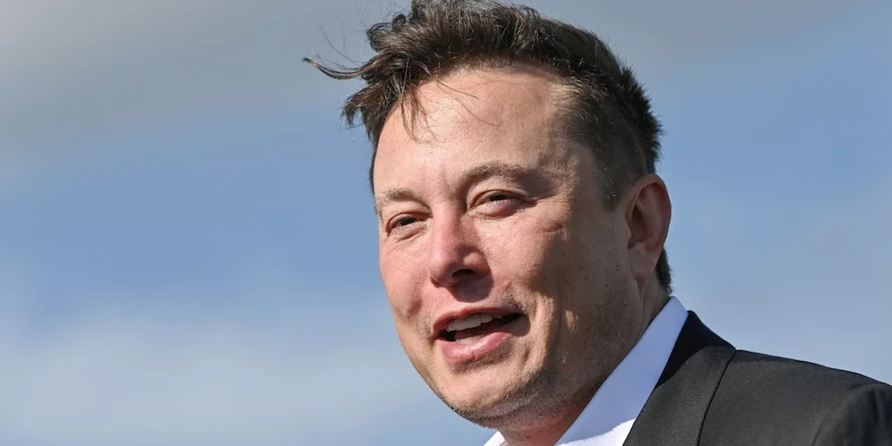 Experte rät Tesla-Aktionären: Gebt Elon Musk keine 56 Milliarden Dollar!