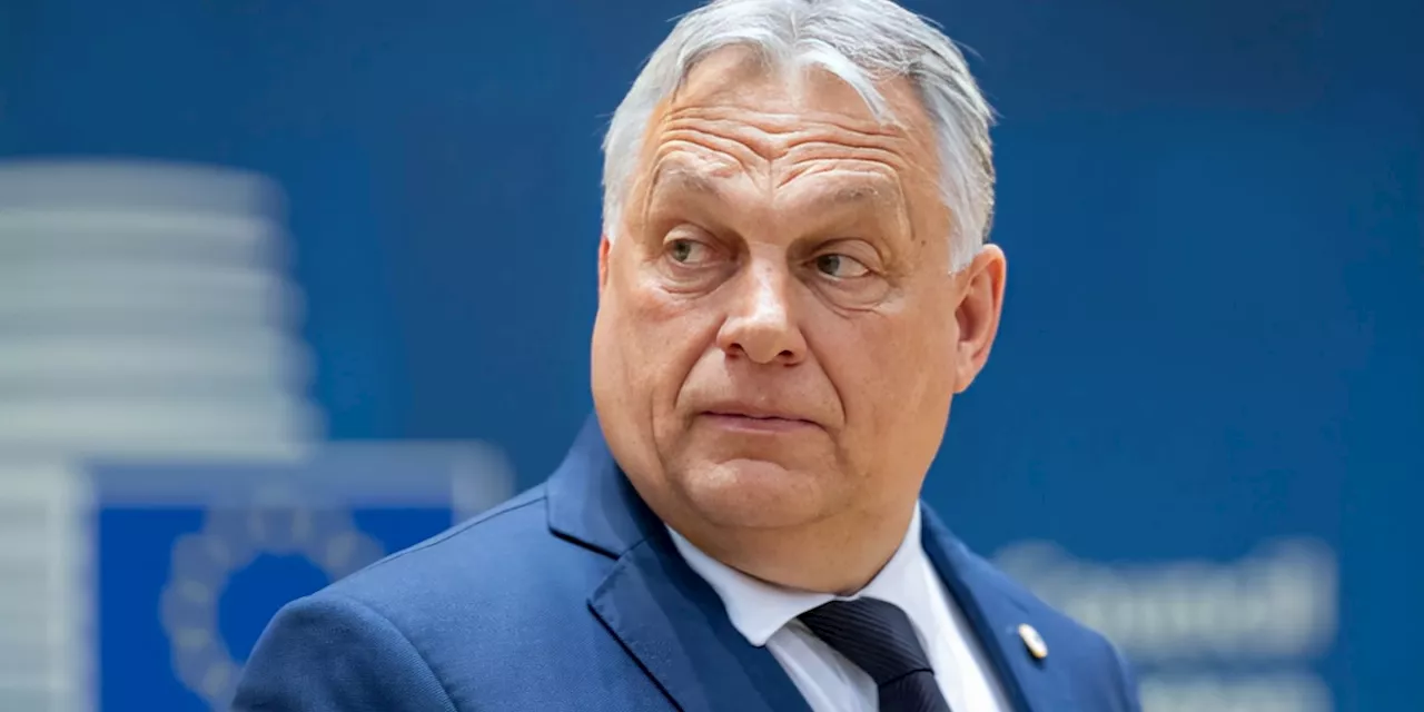 Überraschend hohe Verluste: Orbans Fidesz-Partei stürzt bei EU-Wahl ab