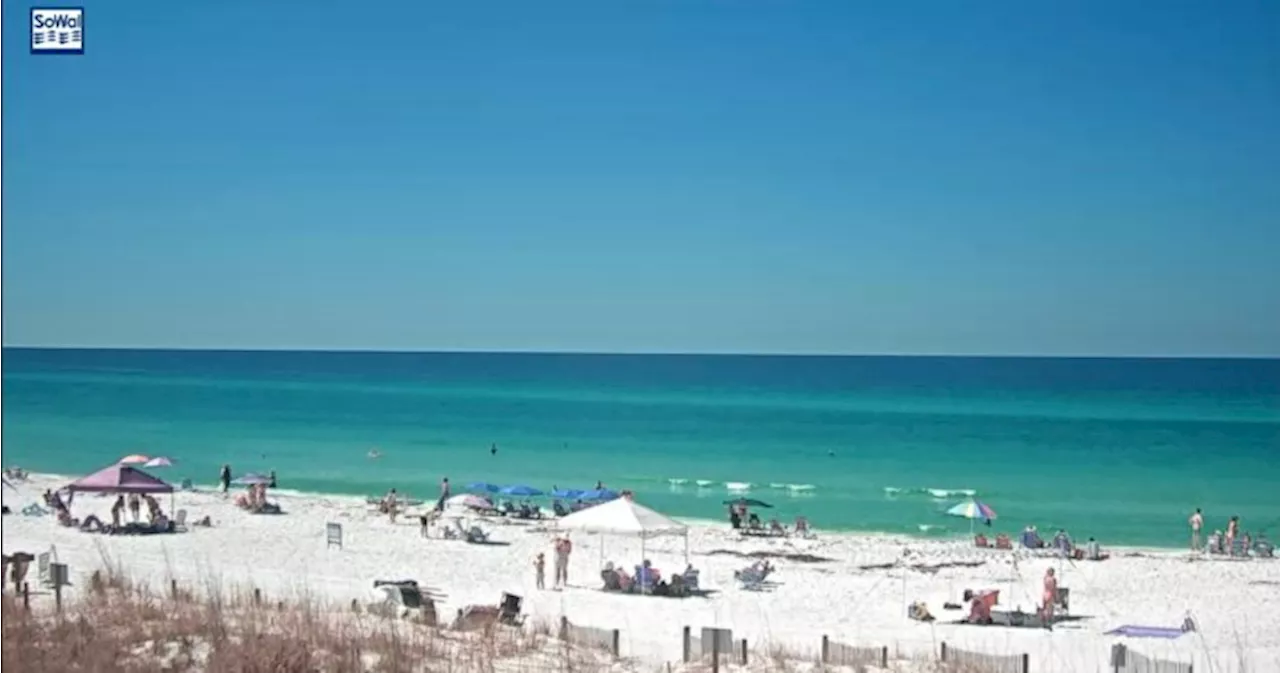 3 people injured in 2 different shark attacks on same day in Florida