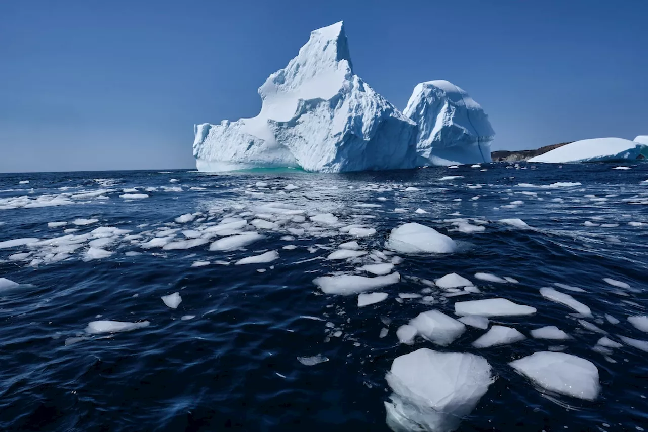 Globe Climate: We want your questions about climate change