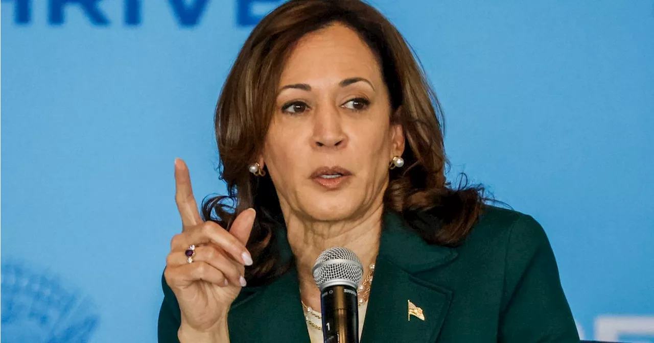 Kamala Harris Identifies What Every Trump VP Contender Has In Common