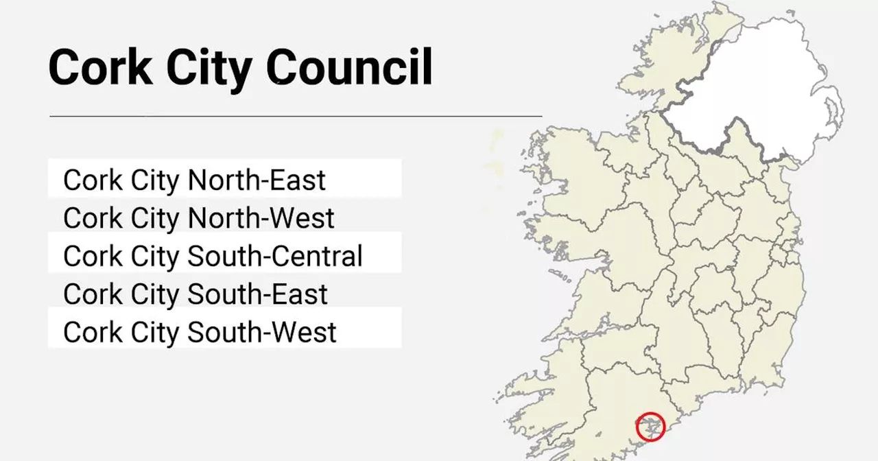 Local Elections: Cork City Council results