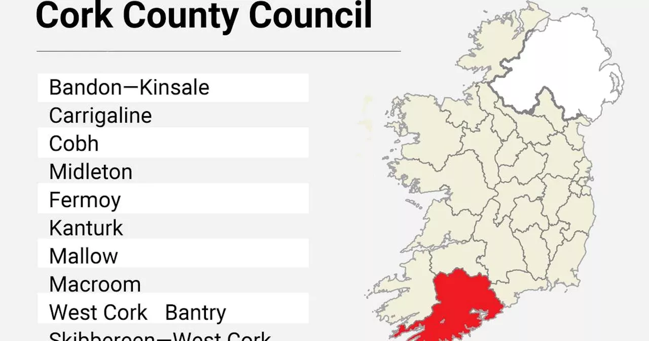 Local Elections: Cork County Council results