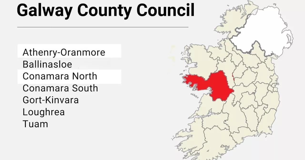 Local Elections: Galway County Council results