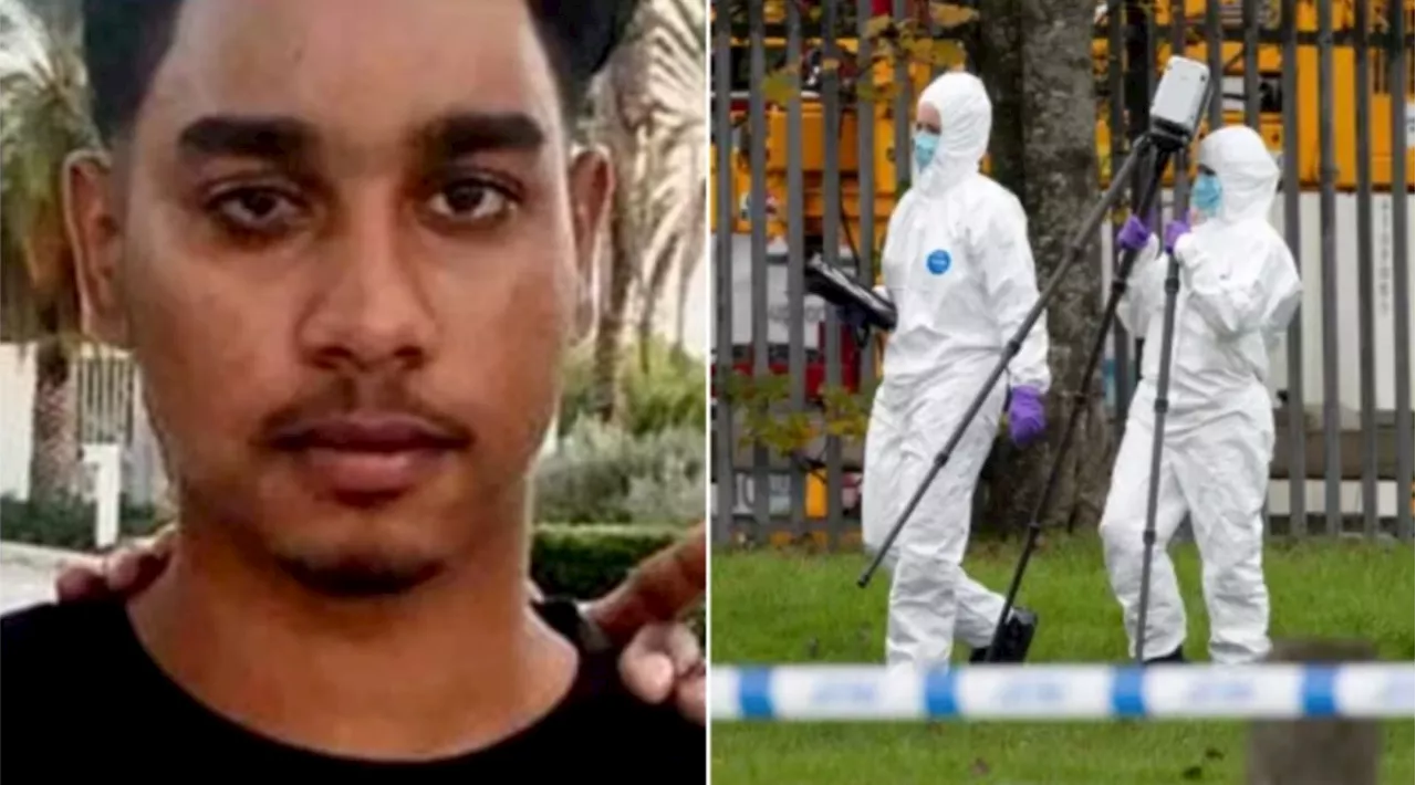 Shawn Seesahai: two 12-year-old boys found guilty of murdering teenager in park with machete