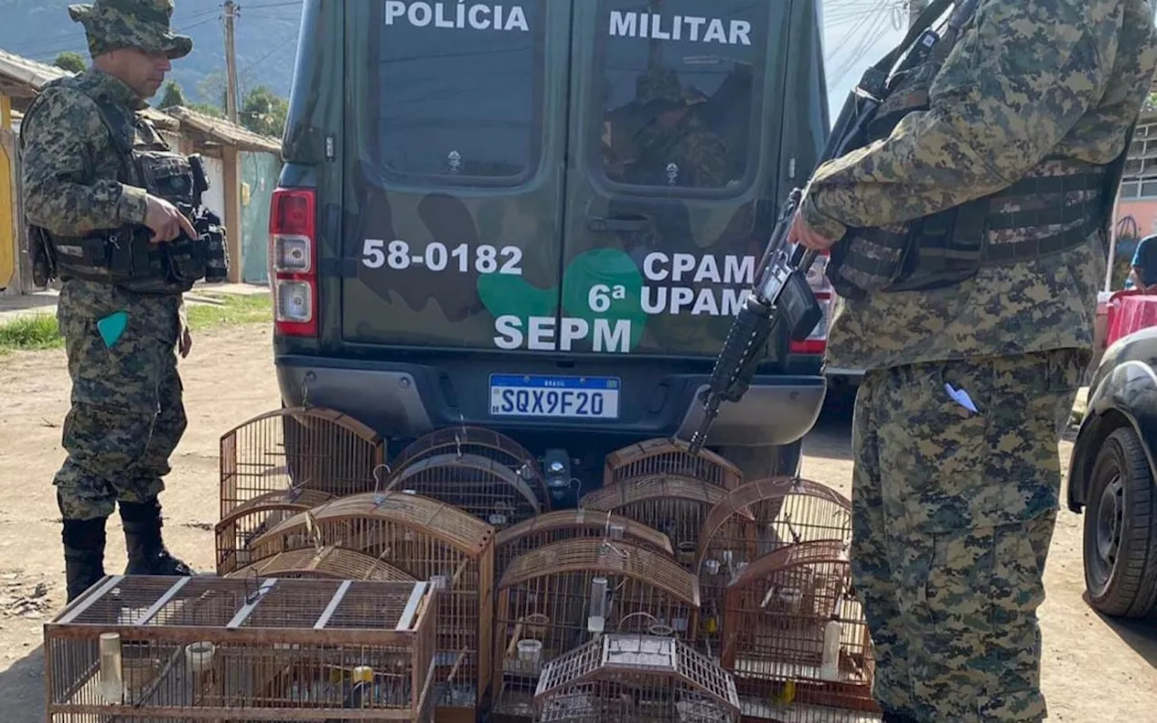 Polícia Militar apreende pássaros em cativeiro ilegal no Jardim Beira Mar