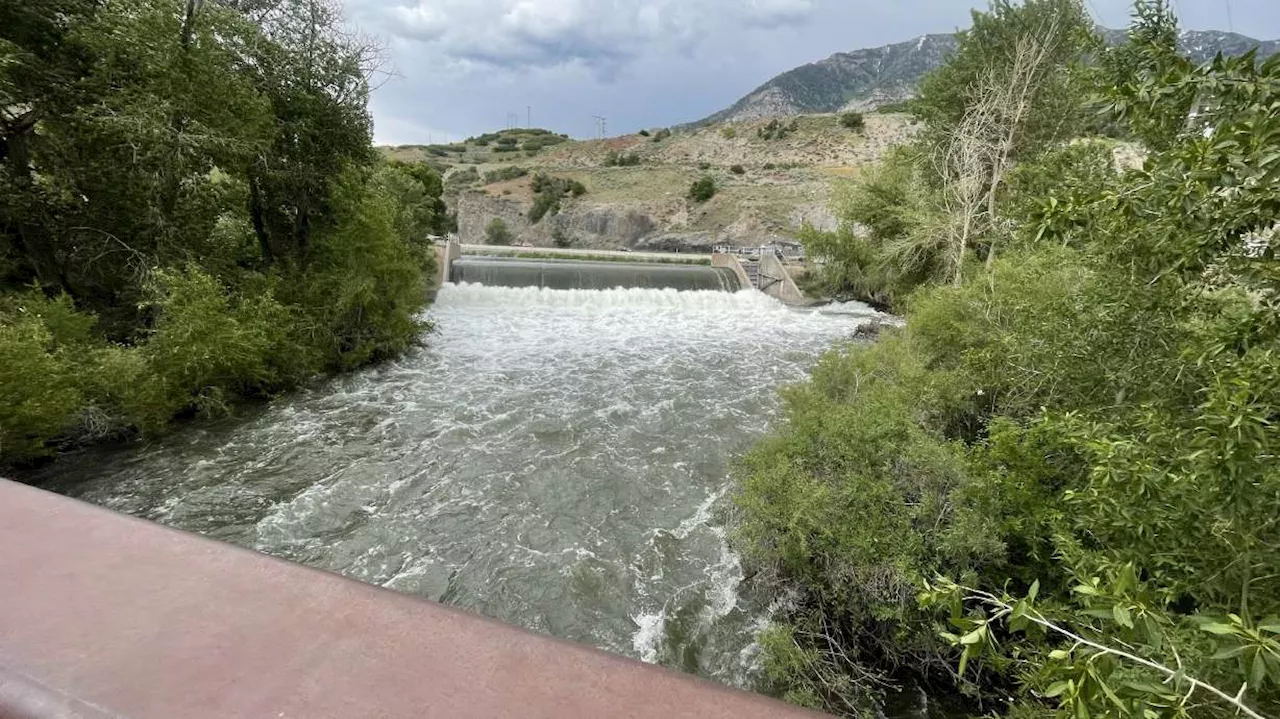 'We risked a lot': Rescuer details hourlong search for 12-year-old in Provo River