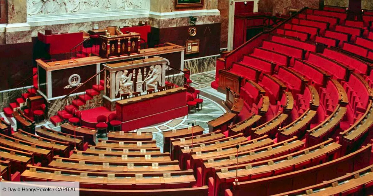 Dissolution de l'Assemblée nationale : quand allons-nous voter pour les législatives ?