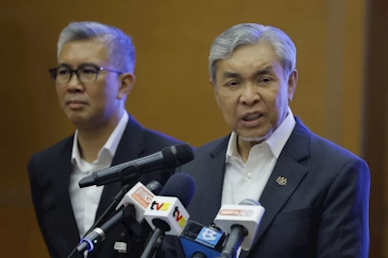 DPM Zahid: Govt sets up task force to coordinate development of halal industrial parks