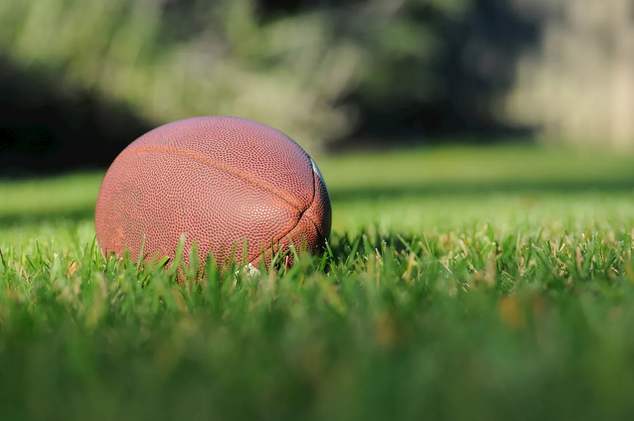New blood test tracks brain recovery after concussion