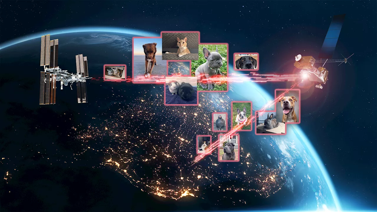 NASA's Laser Relay System Sends Pet Imagery to, from Space Station