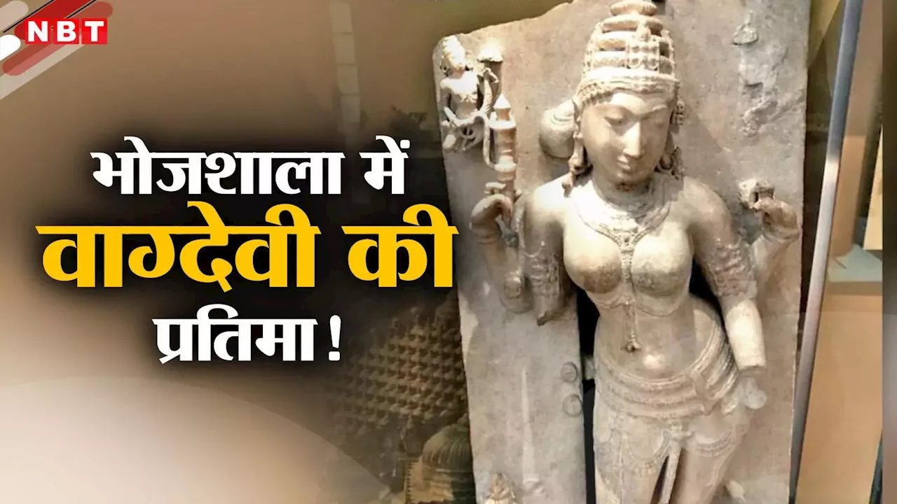 वाग्देवी की प्रतिमा, शंख और चक्र... भोजशाला के बंद कमरे में मिले कई सबूत, हिंदू पक्ष का बढ़ा उत्साह