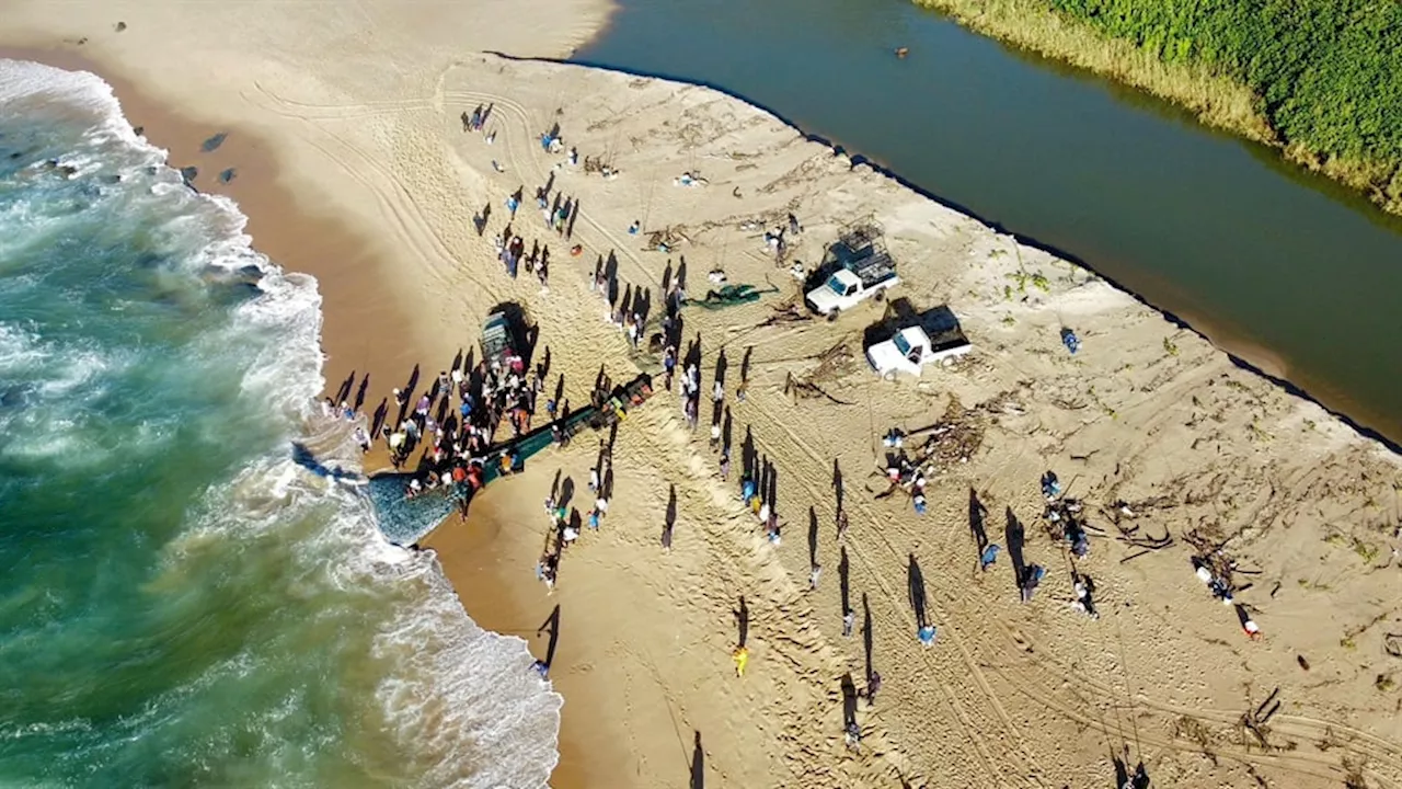 The greatest shoal on Earth: KZN's much-anticipated sardine run returns