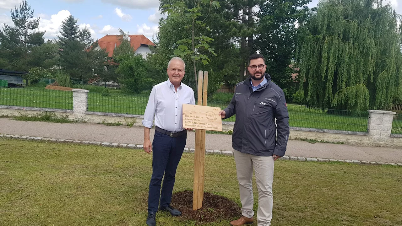 Bonuspunkte für Natur verwendet: Für jeden Ort ein Baum