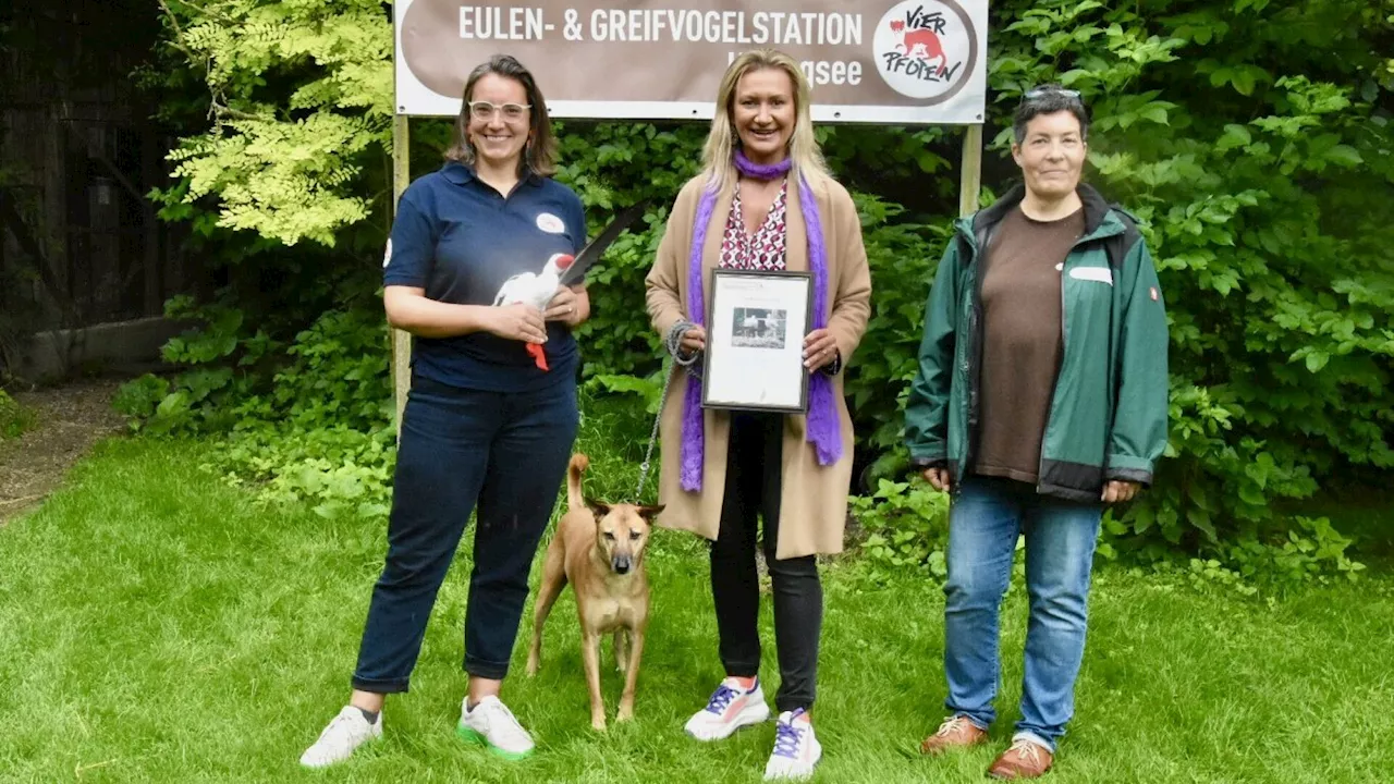 Greifvogelstation Haringsee: Angelika Niedetzky ist nun Storchenpatin