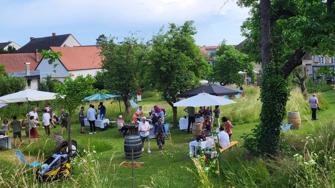 Ortsweinverkostung mit regionaler Kulinarik in Königsbrunn am Wagram