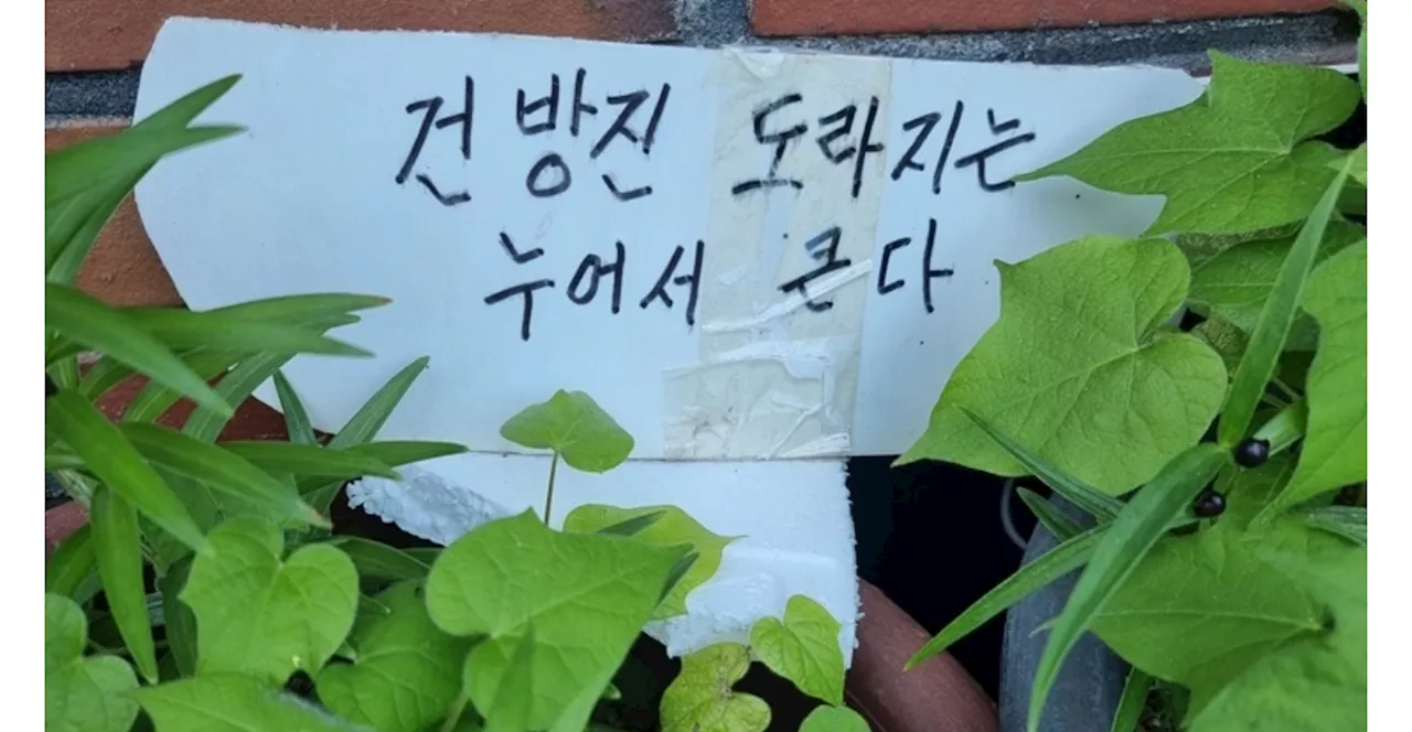 '건방진 도라지' 표지판에 웃음... 나도 이렇게 늙고 싶다