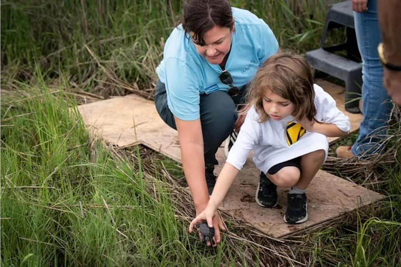 Jersey Shore kindergarteners release baby turtles into the wild