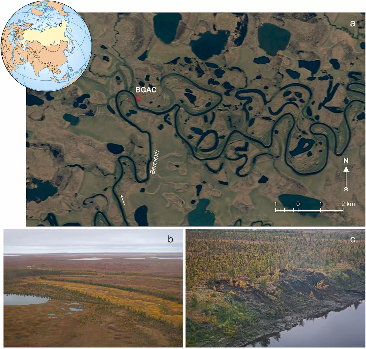 Siberia's 'mammoth graveyard' reveals 800-year human interactions with woolly beasts