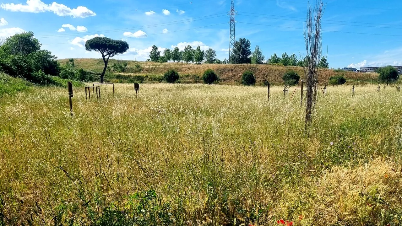 VI Municipio, Il servizio giardini non arriva e il presidente Franco attacca il Campidoglio