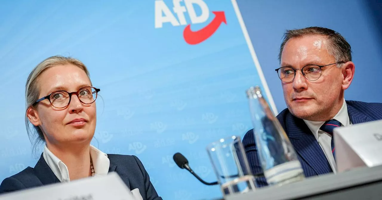 Der Politikwissenschaftler Hans Vorländer über die Erfolge der AfD