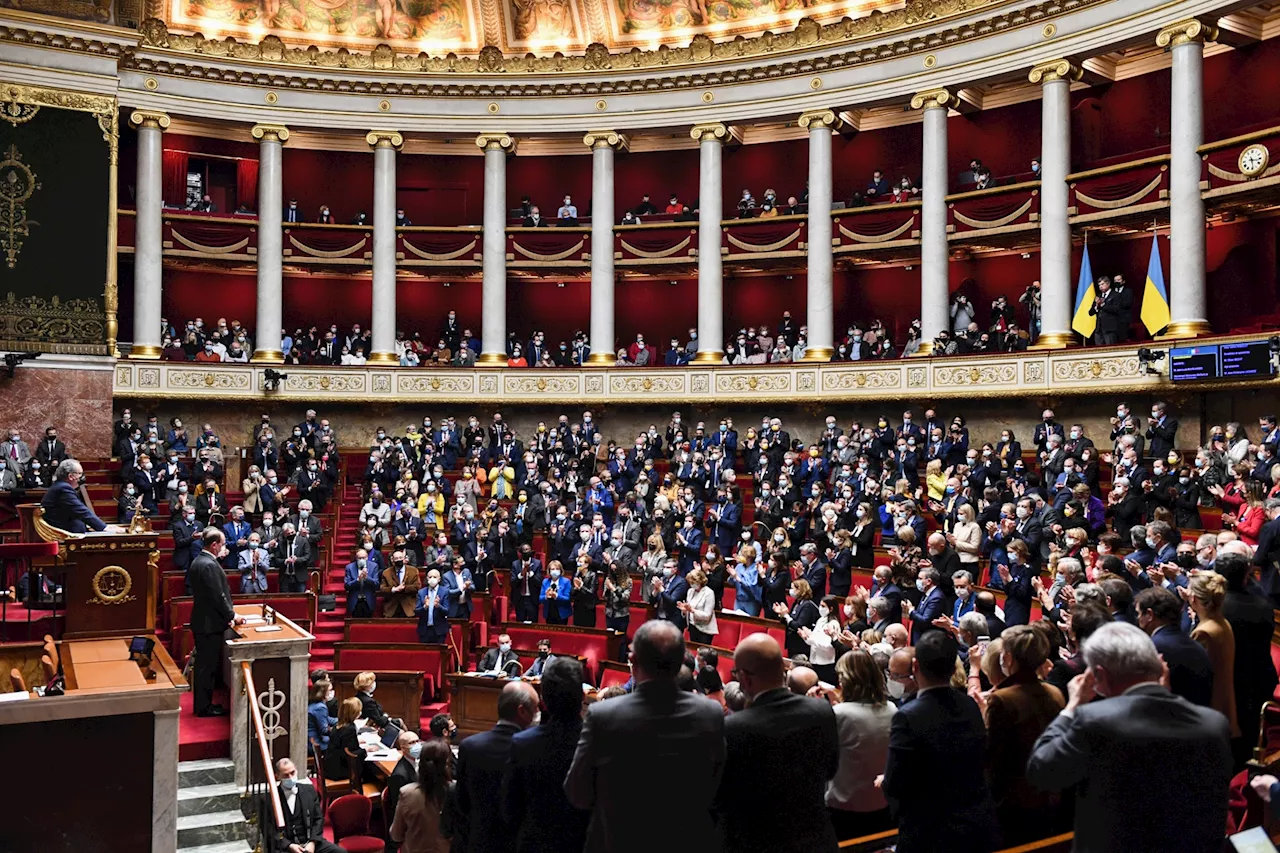 Pourquoi la toute première dissolution de l'Assemblée a popularisé une expression bien connue ?