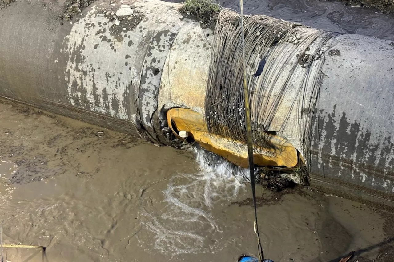 'Incredibly impressed': Calgary mayor applauds reduced water use after pipeline break