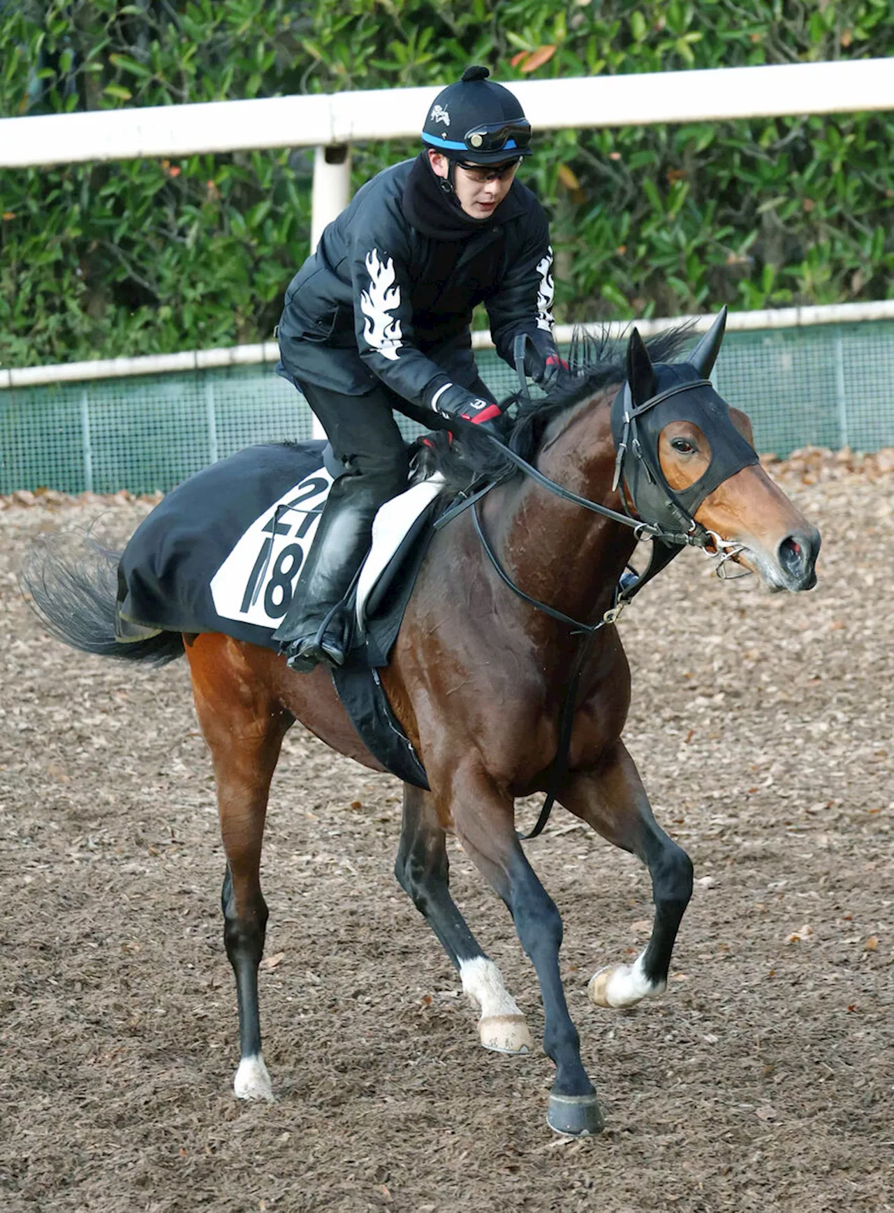 【米子Ｓ】昨年の勝ち馬がサマーマイルシリーズ今年もフル参戦で史上初の連覇目指す