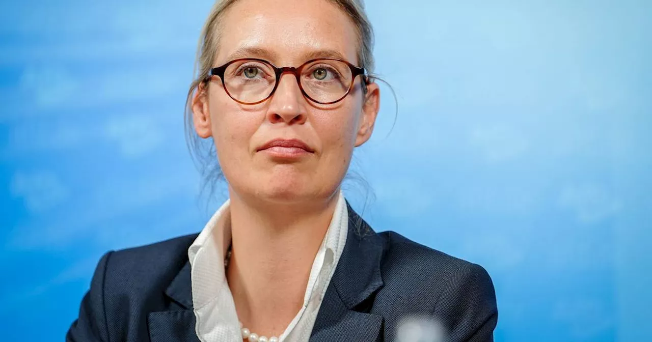 AfD-Chefin Weidel nach Europawahl: Wir wollen regieren