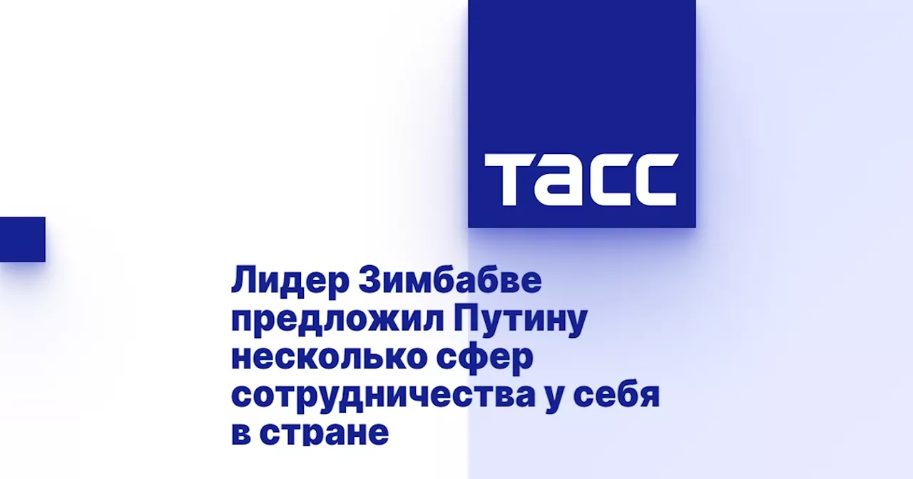 Лидер Зимбабве предложил Путину несколько сфер сотрудничества у себя в стране