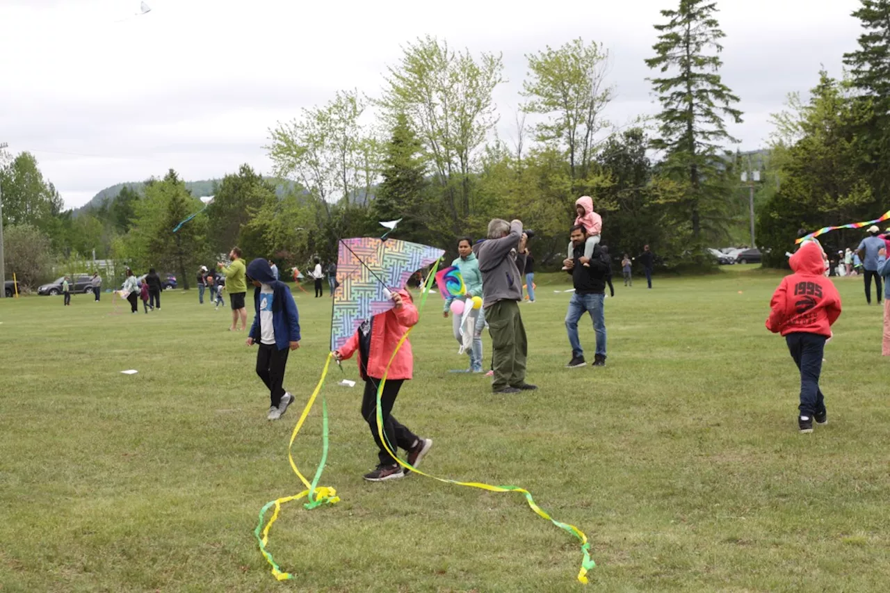 Many soared over to the kite festival at Chippewa Park