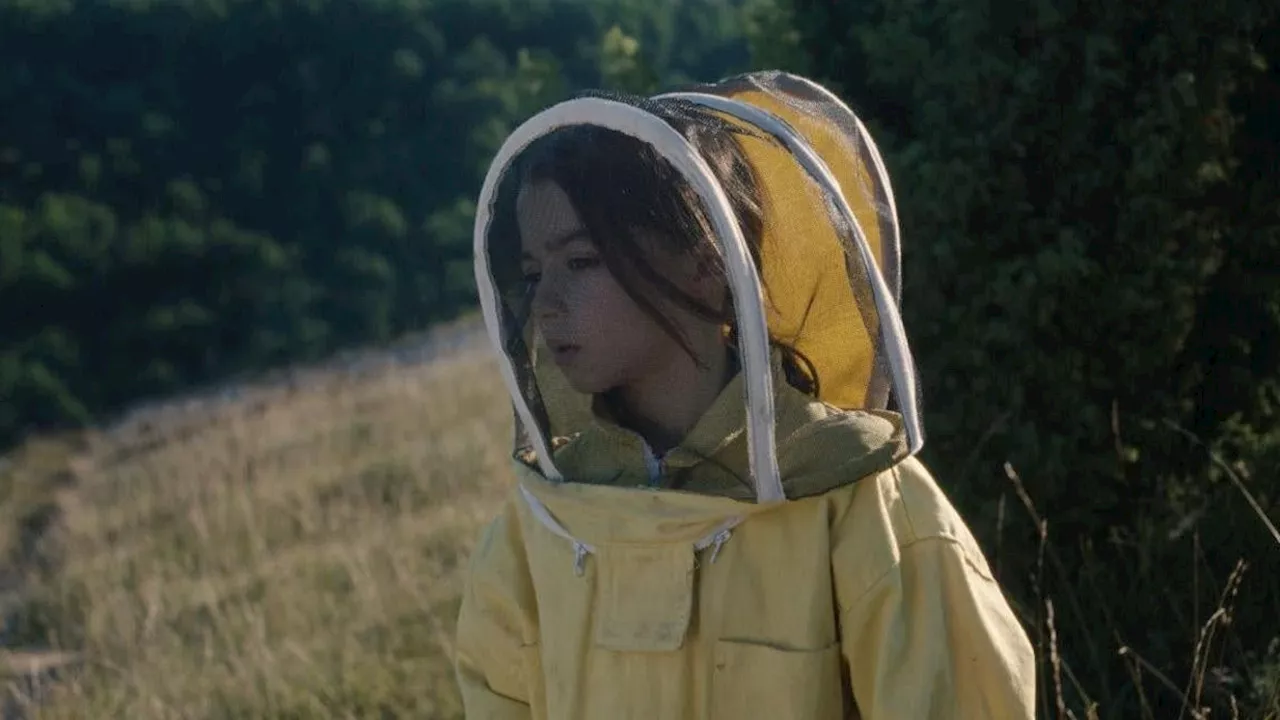 20,000 Species of Bees review: The trans kids are alright